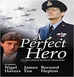 Perfect Hero [DVD] [1991]