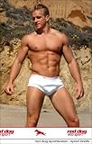 Sport Briefs Underwear - Men's Organic Cotton Eco-Sport - Red Dog Sportswear