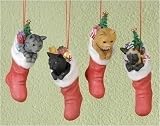 Pack of 16 Pet Keepsakes Head Bobbing Cat In Stocking Christmas Ornaments 4