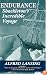 Endurance: Shackleton's Incredible Voyage