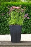 Zinc Square Planter - 37x37x55cm