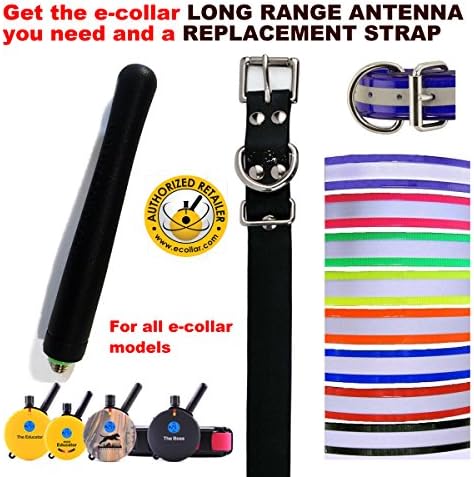 Educator E Collar Black Biothane Replacement Strap and Long Range Antenna Bundle - Your Choice of Color!