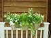 Deck \'N Rail Self Watering Planter - Stone