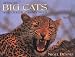 Africa's Big Cats and Other Carnivores