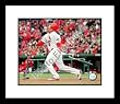 Albert Pujols St Louis Cardinals MLB Framed 8x10 Photograph 2009 Batting