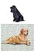 Cocker Spaniel (Black) Glass Cutting Board