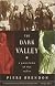 The Dark Valley: A Panorama of the 1930s (Vintage)