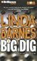 The Big Dig (Carlotta Carlyle Series)