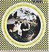 Safe as Milk [VINYL]