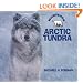 Arctic Tundra (Habitats)