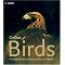 My Best Birding Books