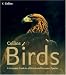 Collins Birds: A Complete Photographic Guide to all British and European Species