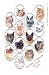 Books : Cat Lovers Deck
