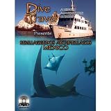 51R9PwxQWhL. SL160  DVD Revillagigedos Mexico   Dive Travel Video Adventure Series
