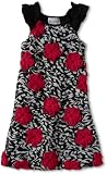 Rare Editions Girls 2-6X Zebra Soutach Dress