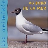 Au bord de la mer