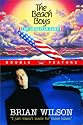 Beach Boys - An American Band / Brian Wilson - I Just Wasn't Made for These Times