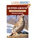 Ruffed Grouse: Woodland Drummer