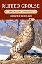 Ruffed Grouse: Woodland Drummer