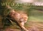 Wild at Heart: Man and Beast in Southern Africa
