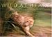 Wild at Heart: Man and Beast in Southern Africa