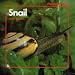 Snail (Stopwatch) (Stopwatch)