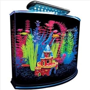 GloFish 29045 Aquarium Kit with Blue LED light, 5-Gallon