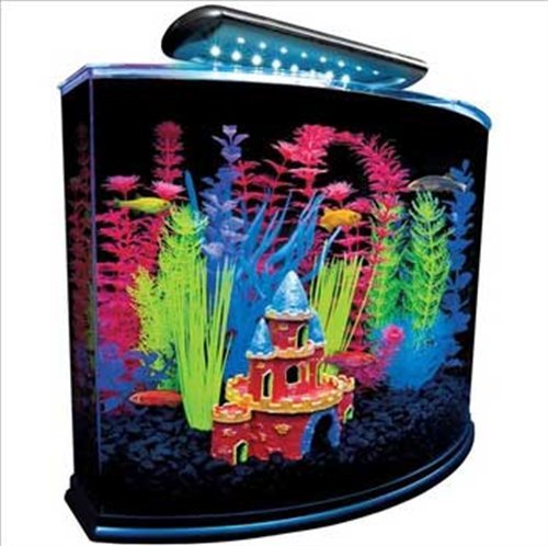 GloFish Aquarium Kit with Blue LED Light, 5-Gallon