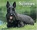 Book Just Scotties 2008 Calendar (Just)