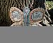 Butterfly Garden Stone