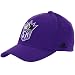 adidas Sacramento Kings Purple The Pivot Logo Flex Fit Hat