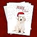 Canopy Street Labrador Love Holiday Card Pack / 25 Cards And Envelopes Pack/Festive Santa Hat Puppy Design With Greeting Inside/Dog Christmas And New Year Cards