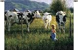 Anniken and the Cows Woven Tapestry Wall Hanging