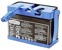 Peg Perego KB0014 - Batterie 12V 8Ah f&Atilde;1/4r 12V Fahrzeuge