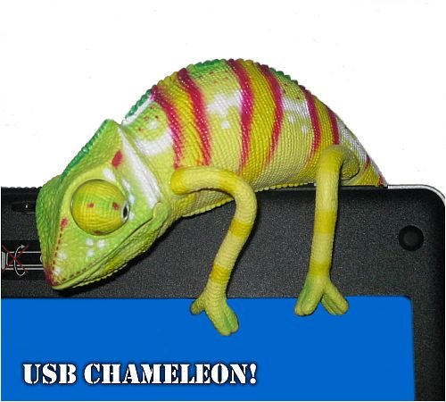 Childrens Toyshop  Electronics : USB Chameleon