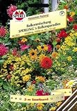 Eigenschaften Sperli  / Balkonmischung, Balkonparadies, Saatband 5 m