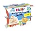 Hipp Joghurt und Frucht Banane, 6er Pack (6 x 200 g) - Bio