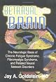 Betrayal by the Brain: The Neurologic Basis of Chronic Fatigue Syndrome, Fibromyalgia Syndrome and Related Neural Network Disorders