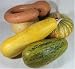 Del Rio Farms Organic Winter Squash Variety Box