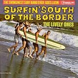 Surfin South of the Bord