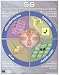 5S Lean Manufacturing Workplace Organization (Spanish Version) Poster