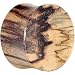 32mm Tamarind Wood Concave Plug