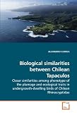 Biological similarities between Chilean Tapaculos: Closer similarities among phenotype of the plumage and ecological traits in undergrowth-dwelling birds of Chilean Rhinocryptidae