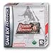 Dynasty Warriors Advance