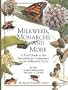 Milkweed, Monarchs and More: A Field Guide to the Invertebrate Community in the Milkweed Patch