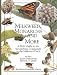 Book Milkweed, Monarchs and More: A Field Guide to the Invertebrate Community in the Milkweed Patch