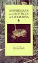 Amphibians and Reptiles of Delmarva