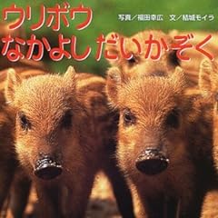 ウリボウなかよしだいかぞく (親と子の写真絵本)