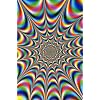 Fractal Illusions Trippy Art Print Poster - 24x36 Collections Poster Print, 24x36 Collections Poster Print, 24x36