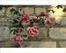 Photographic Prints of Blowsy flowers of the early climbing rose from ArcticPhoto